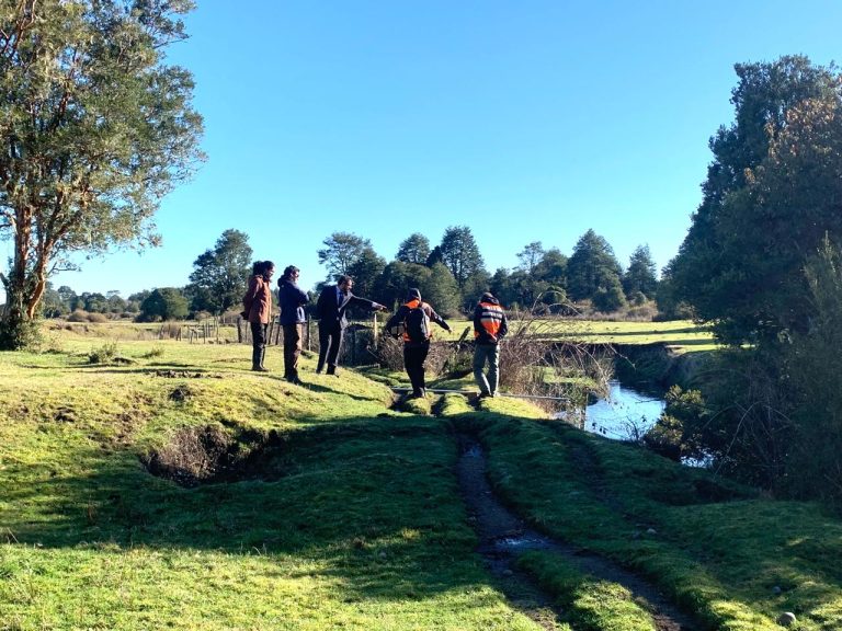 Consejo de Monumentos Nacionales da inicio a obras de protección del sitio arqueológico Monte Verde