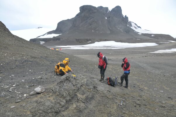 Hallazgo de fósil de helecho revela que la Antártica fue un territorio verde en la era de los dinosaurios