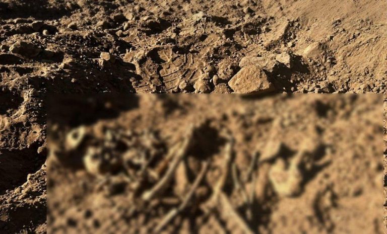 Hallazgo precolombino en Puchuncaví: osamentas y cerámica antigua aparecen durante obras en Campiche Norte
